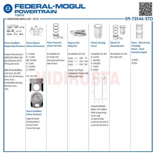Piston Seti - GOETZE ENGINE - 8975546STD