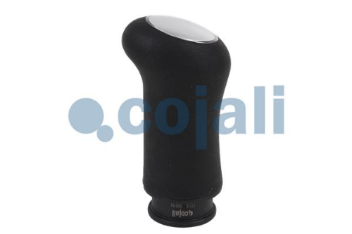 COJALI 2880156 Şanzıman Şanzıman Kullanım Ünitesi