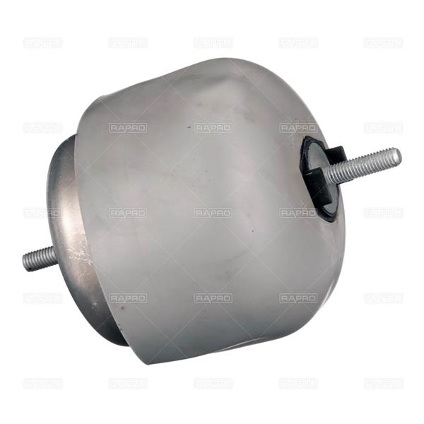 RAPRO R55710 Motor Motor Yataklama - AUDI A4 B5 (8D2) uyumlu