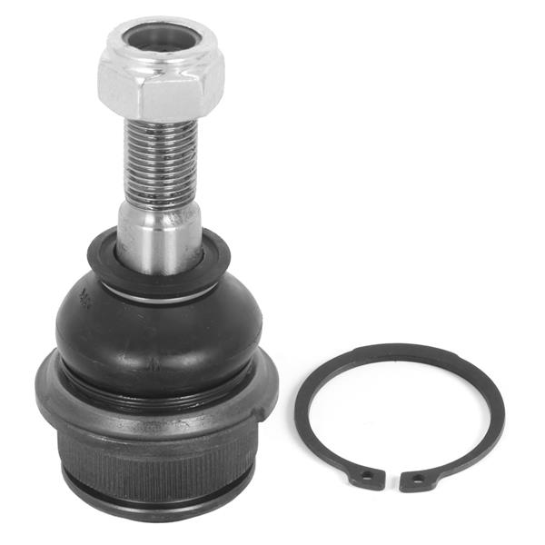 Rotil - AYD - 05335 Ürün Görseli