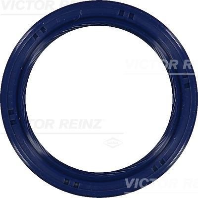 VICTOR REINZ 81-53699-00 Motor Radyal Mil Contası Seti - SUZUKI SWIFT IV (FZ, NZ) uyumlu