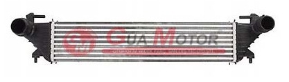 Turbo Radyatörü - GUARNITAUTO - 40902 Ürün Görseli
