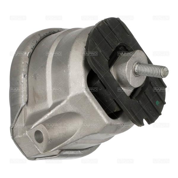 RAPRO R55565 Motor Motor Yataklama - BMW 5 (E60) uyumlu