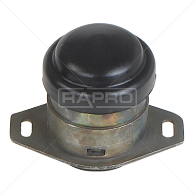 RAPRO R59851 Motor Motor Yataklama - CITROËN C5 I (DC_) uyumlu