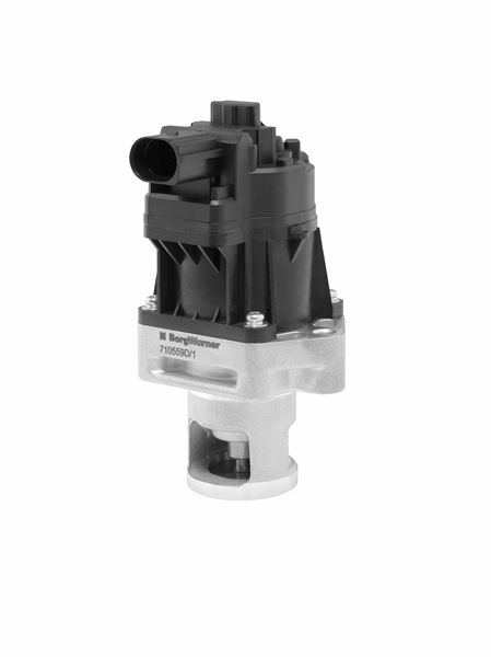 BorgWarner 710559D Motor EGR Parçaları - FIAT DOBLO Cargo (263_) uyumlu