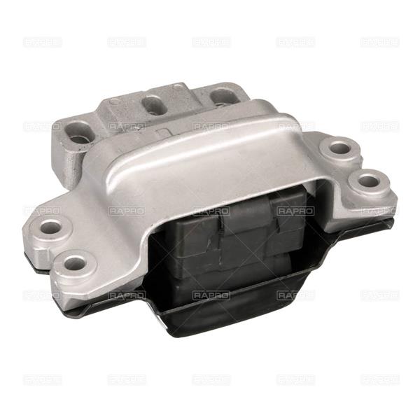 RAPRO R55521 Motor Motor Yataklama - VW JETTA IV (162, 163, AV3, AV2) uyumlu