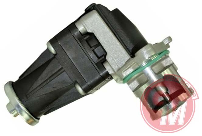 Egr Valfi - GUARNITAUTO - 41595 Ürün Görseli