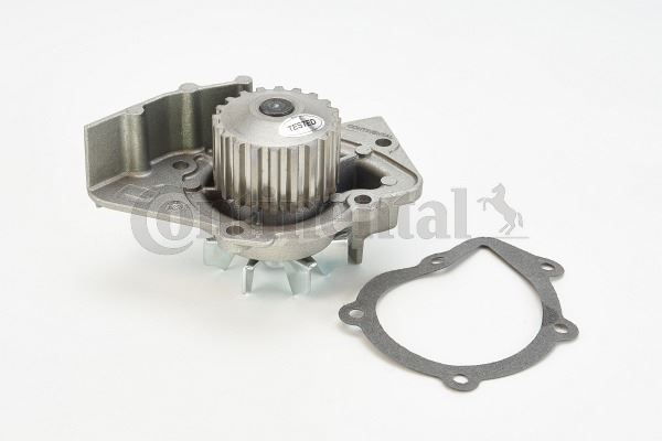 CONTINENTAL CTAM WP6002 Motor Devirdaim - PEUGEOT 206 Hatchback (2A/C) uyumlu
