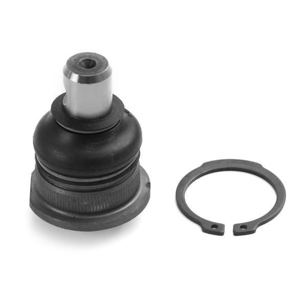 Rotil - AYD - 13993 Ürün Görseli