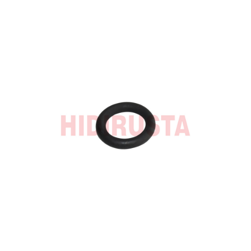 Retarder O-Ringi - VOITH - H01075956