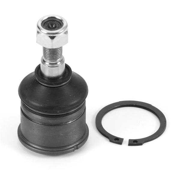 Rotil - AYD - 05625 Ürün Görseli