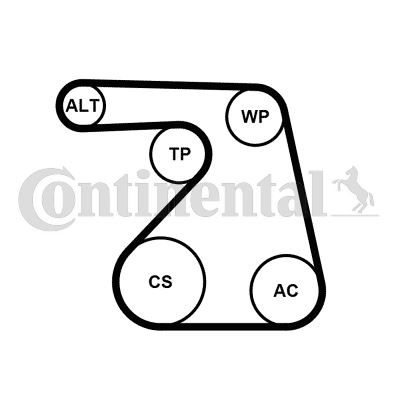 CONTINENTAL CTAM 6PK1217WP1 Motor Kayış Kasnağı - OPEL ASTRA J Sports Tourer (P10) uyumlu