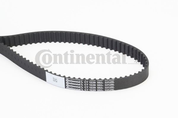 CONTINENTAL CTAM CT1229 Motor Kayış - VW PASSAT B8 (3G2, CB2) uyumlu