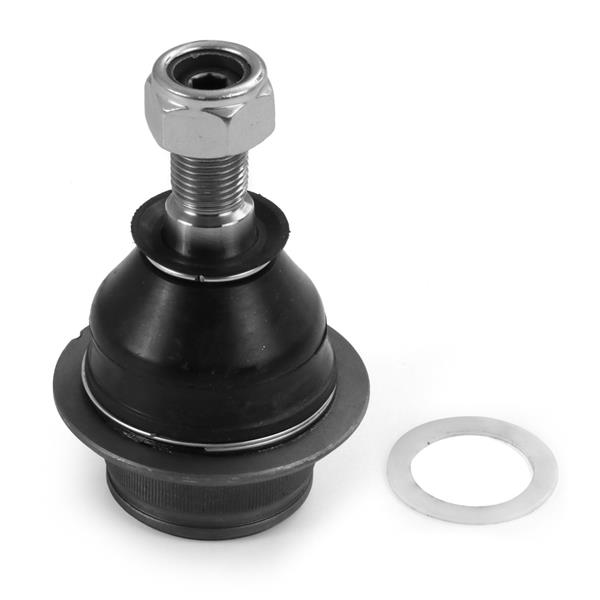Rotil - AYD - 19521 Ürün Görseli