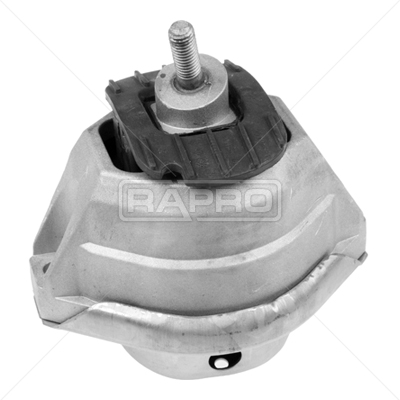 RAPRO R54931 Motor Motor Yataklama - BMW 5 (E60) uyumlu