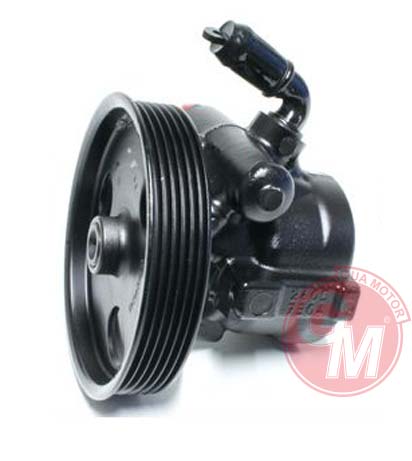 Direksiyon Pompası - GUARNITAUTO - 41557 Ürün Görseli