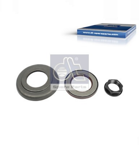 DT Spare Parts 5.93010 Diferansiyel & Aktarma Sistemi Diferansiyel Parçaları