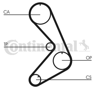 CONTINENTAL CTAM CT749 Motor Kayış - RENAULT 18 Variable (135_) uyumlu