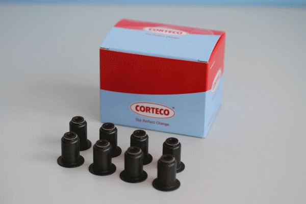 CORTECO 19036091 Motor Supap Kılavuzu & Conta - CITROËN C3 I (FC_, FN_) uyumlu