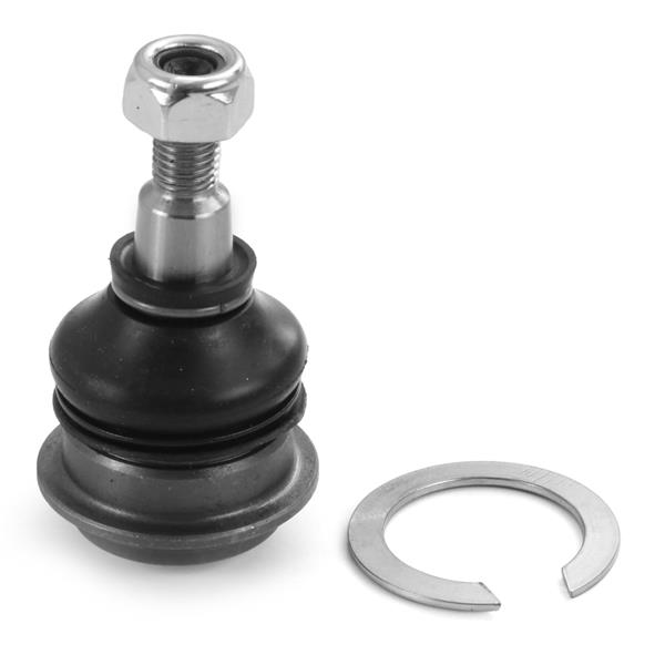 Rotil - AYD - 05620 Ürün Görseli