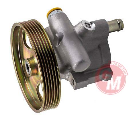 Direksiyon Pompası - GUARNITAUTO - 41086 Ürün Görseli