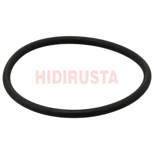 O Ring - ELRING - 491.970