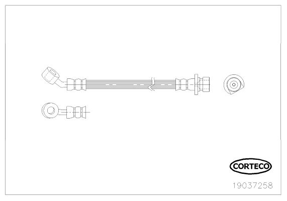 CORTECO 19037258 Fren Sistemleri Fren Hortumları - HONDA JAZZ II (GD_, GE3, GE2) uyumlu
