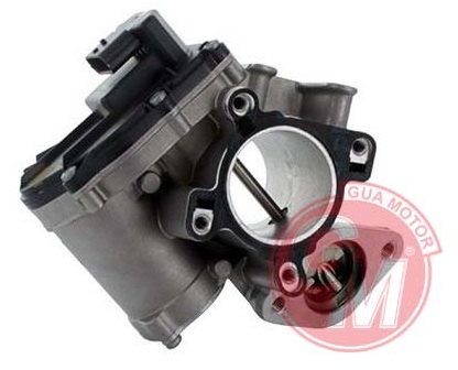 Egr Valfi - GUARNITAUTO - 41135 Ürün Görseli