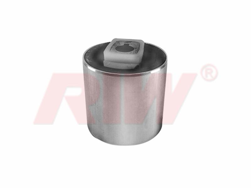 Salıncak Burcu - RIW - BW11003 Ürün Görseli