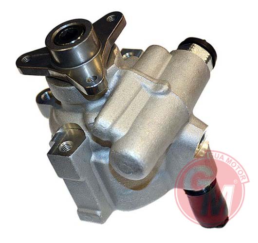 Direksiyon Pompası - GUARNITAUTO - 41553 Ürün Görseli