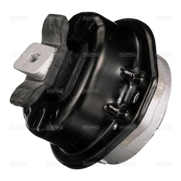 RAPRO R55554 Motor Motor Yataklama - BMW 7 (E65, E66, E67) uyumlu