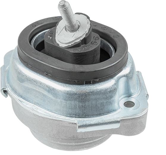 LEMFÖRDER 33244 01 Motor Motor Yataklama - BMW X5 (E53) uyumlu