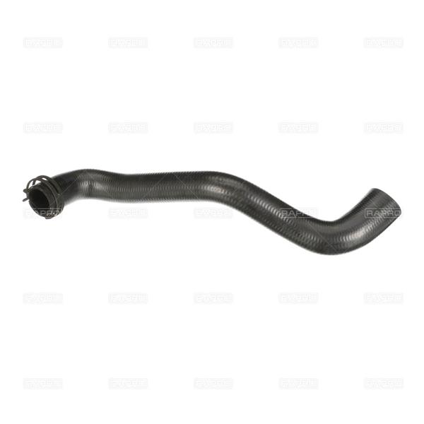 RAPRO R16681 Soğutma Sistemi Soğutma Hortumları & Bağlantıları - FORD C-MAX (DM2) uyumlu