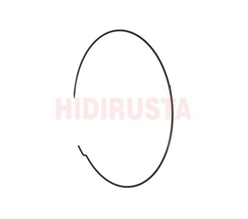 Emniyet Segmanı - EURORICAMBI - 56170529 Ürün Görseli