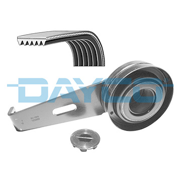 DAYCO KPV002 Motor Kayış Kasnağı - CITROËN EVASION MPV (22, U6) uyumlu