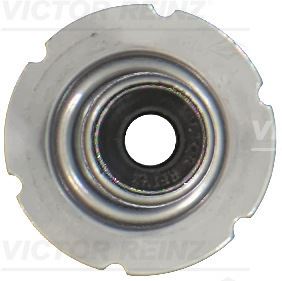 VICTOR REINZ 70-13443-00 Motor Supap Kılavuzu & Conta - ALFA ROMEO GIULIA (952_) uyumlu