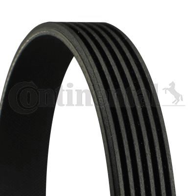 CONTINENTAL CTAM 6PK1075 Motor Kayış - LANCIA ZETA (22_) uyumlu