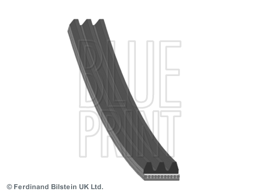 BLUE PRINT AD03R580 Motor Kayış - JAGUAR X-TYPE I (X400) uyumlu