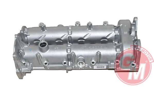 Külbütör Kapağı - GUARNITAUTO - 41037 Ürün Görseli