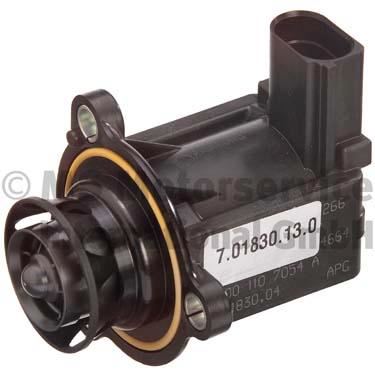 PIERBURG 7.01830.13.0 Motor Turbo Ayarı - VW PASSAT B7 (362) uyumlu
