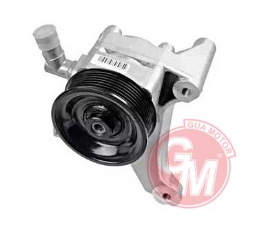 Direksiyon Pompası - GUARNITAUTO - 40633 Ürün Görseli