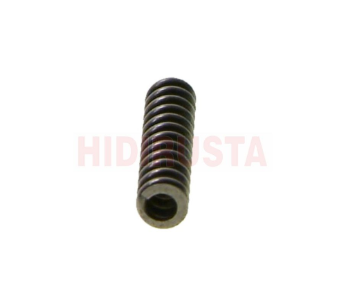 Senkromenç Yayı - EURORICAMBI - 60530666 Ürün Görseli