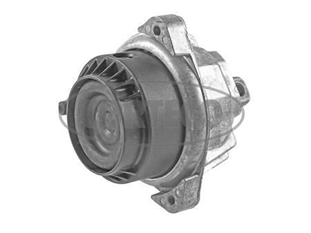 CORTECO 49357939 Motor Motor Yataklama - BMW 6 Coupe (F13) uyumlu