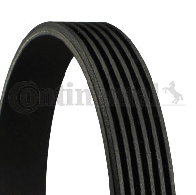 CONTINENTAL CTAM 6PK1560 Motor Kayış - BMW 3 (E36) uyumlu