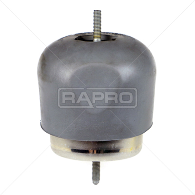 RAPRO R54521 Motor Motor Yataklama - AUDI A4 B5 (8D2) uyumlu