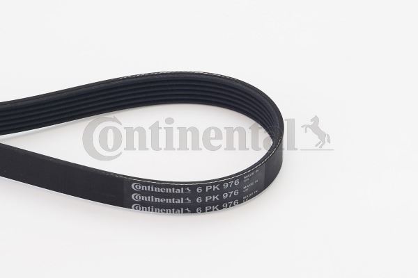 CONTINENTAL CTAM 6PK976 Motor Kayış - ALFA ROMEO 155 (167_) uyumlu