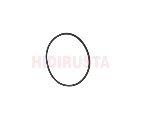 İntarder Akümülatör Oringi - EURORICAMBI - 95532574