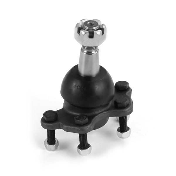 Rotil - AYD - 02156 Ürün Görseli