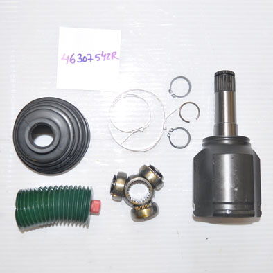 Aks Lalesi - BRUCKE - 46307542R Ürün Görseli