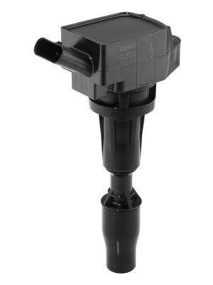 BorgWarner (BERU) ZSE300 Ateşleme Sistemi Ateşleme Bobini - HYUNDAI SANTA FÉ III (DM, DMA) uyumlu